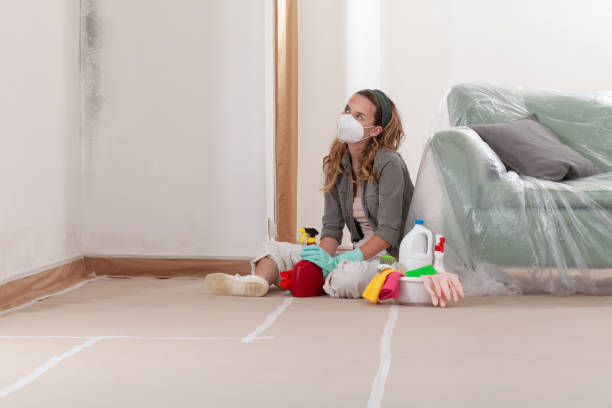 Reliable Mold Remediation contractor in Towson, MD by Cheap Mold Removal